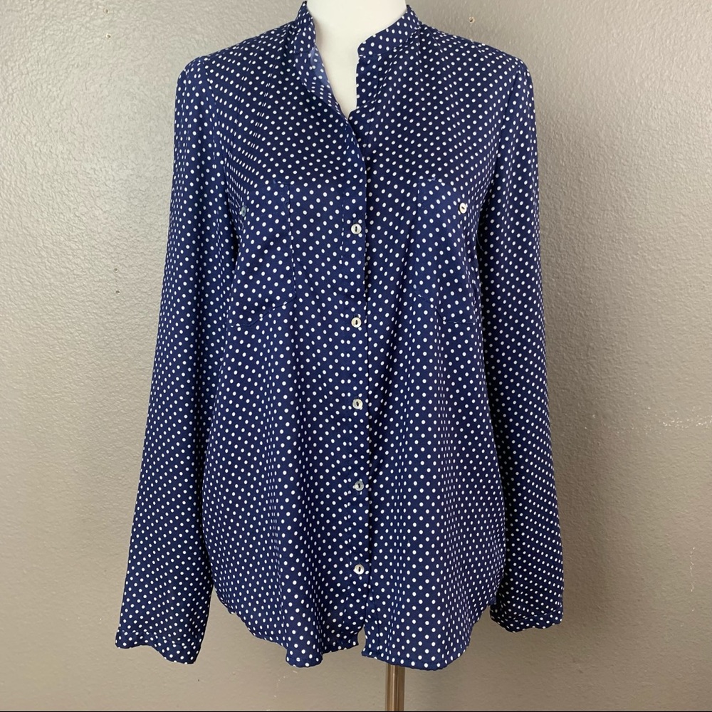 Zara blue and white tiny polka dot long sleeve button down blouse